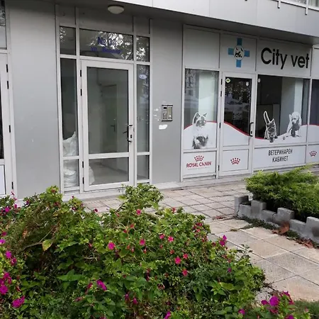 Διαμέρισμα Art Luxury Μπουργκάς