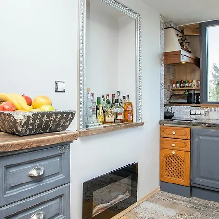 Art Luxury 公寓 布尔加斯